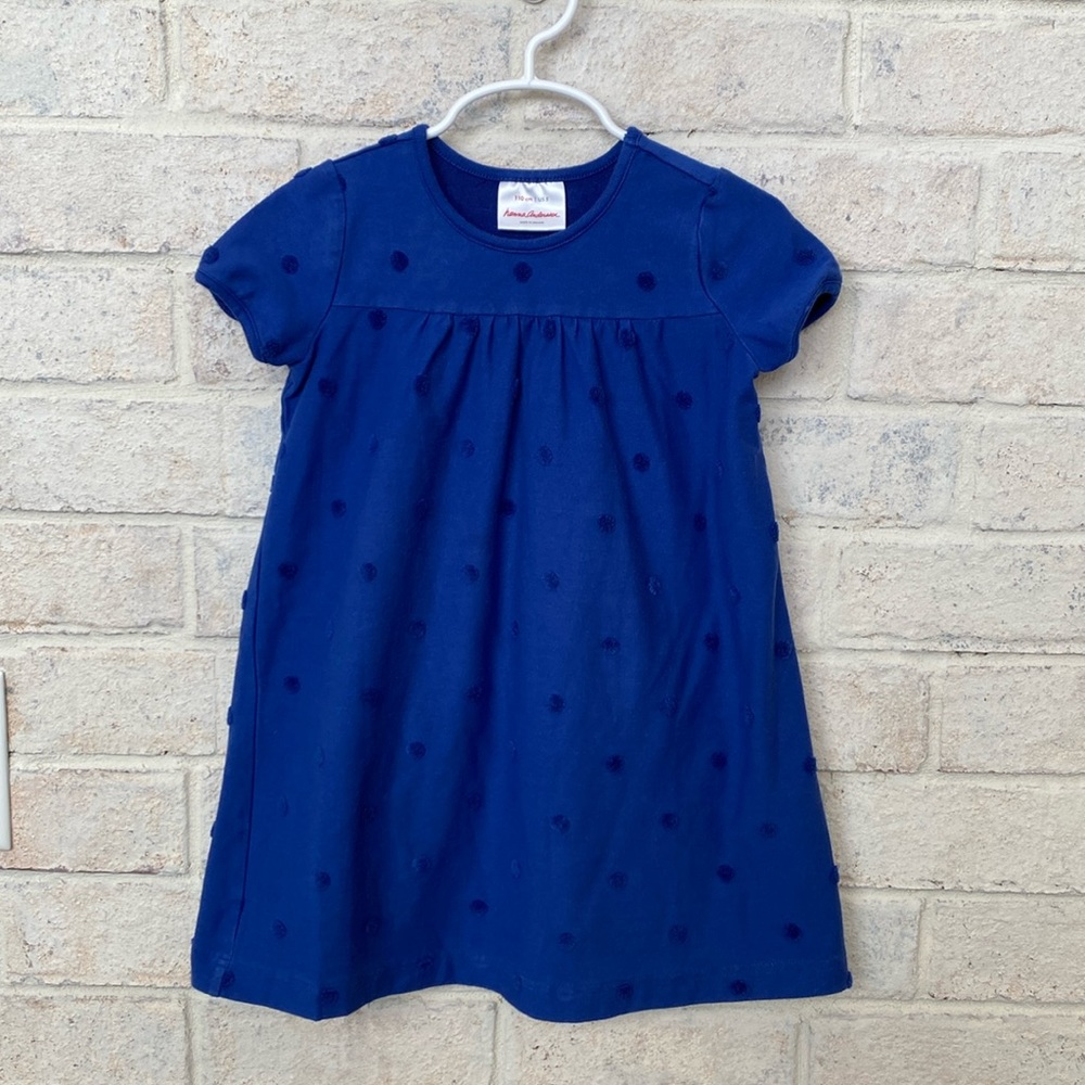 Hanna Andersson blue dress